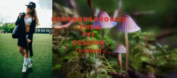 каннабис Алексеевка