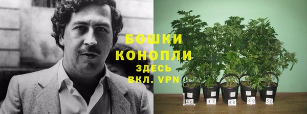 кокаин колумбия Алексин