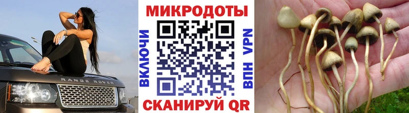 Псилоцибиновые грибы GOLDEN TEACHER  дарк нет как зайти  Красногорск 