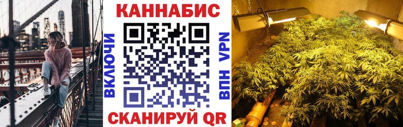 Конопля VHQ как найти наркотики Красногорск
